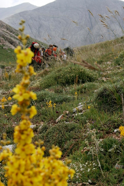 Alpinismo