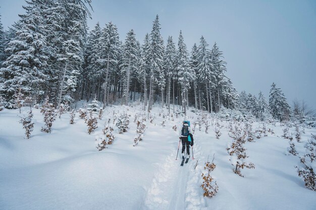 Alpinista sci d'alpinismo a piedi sci alpinista in montagna Sci alpinismo nel paesaggio alpino con alberi innevati Avventura sport invernale