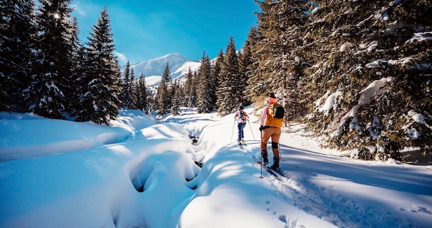 Alpinista sci d'alpinismo a piedi sci alpinista in montagna Sci alpinismo nel paesaggio alpino con alberi innevati Avventura sport invernale