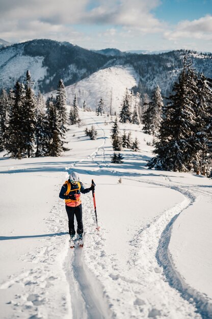 Alpinista sci d'alpinismo a piedi sci donna alpinista in montagna Sci alpinismo nel paesaggio alpino con alberi innevati Avventura sport invernali Sci freeride