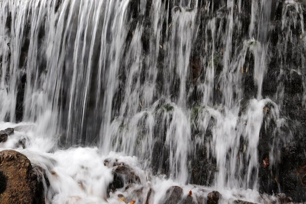 Alta cascata nella natura incontaminata