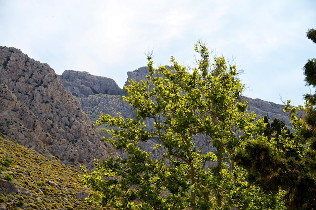 Alta montagna e rocce in Grecia Rodi