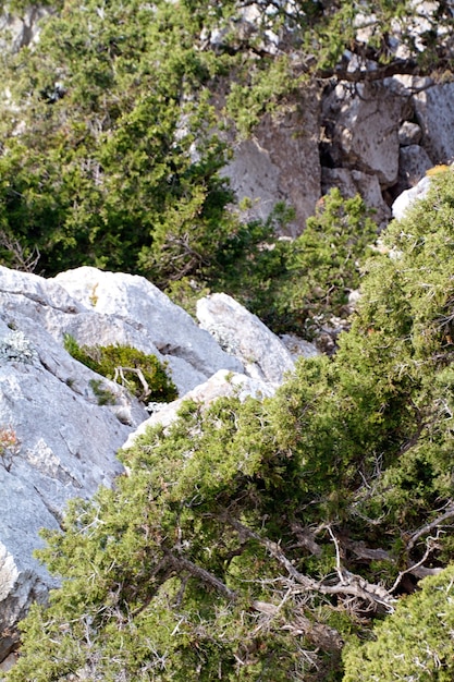 Alta montagna e rocce in Grecia Rodi