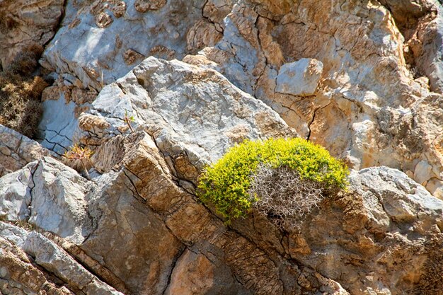 Alta montagna e rocce in Grecia Rodi