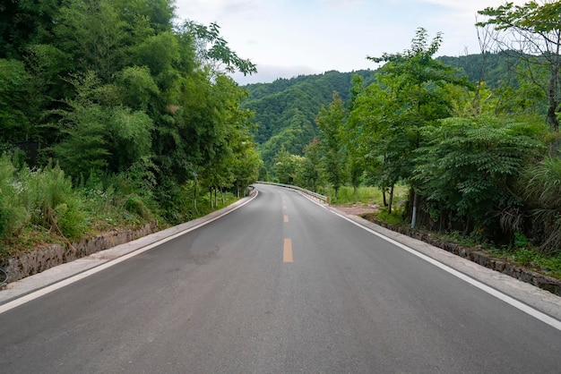 Alta strada asfaltata nella foresta