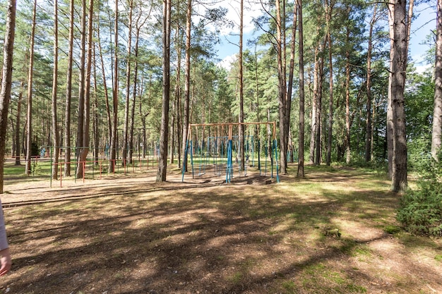 Altalena e barre orizzontali su parco giochi e campo da basket in pineta