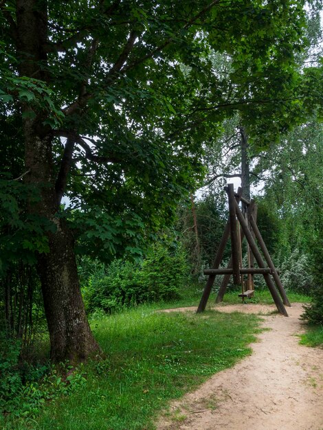 Altalena in legno al parco sotto i grandi alberi forestali in estate