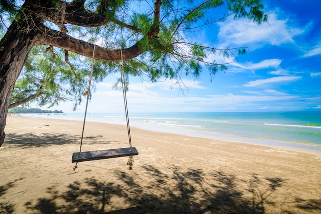 Altalena in legno appesa a un albero sulla spiaggia.