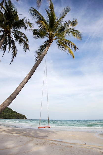 Altalena su una spiaggia tropicale