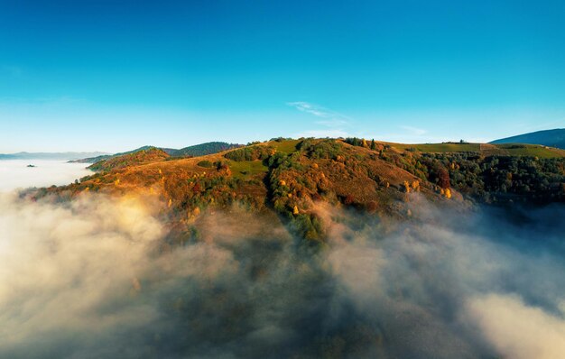 Alte cime montuose con alberi ricoperti da una fitta nebbia