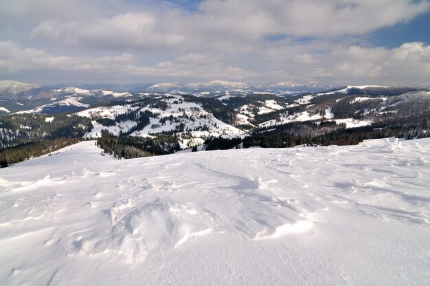 Alte colline, abeti rossi e pini coperti di neve