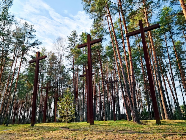 Alte croci tra gli alberi al cimitero militare polacco Monumento alla Seconda Guerra Mondiale