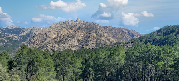 Alte montagne e vegetazione in crescita nella campagna di Madrid in Spagna