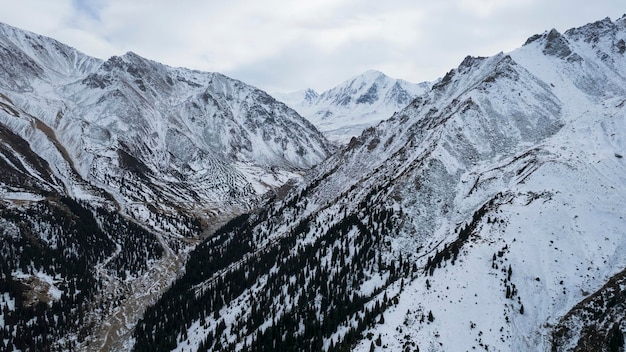 Alte montagne innevate con foresta nella gola