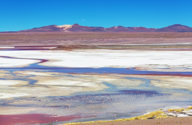 Alte montagne innevate in Bolivia