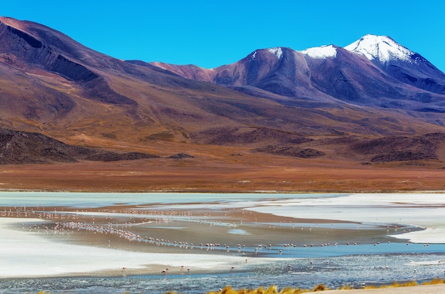 Alte montagne innevate in Bolivia