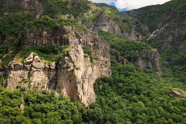 Alte scogliere ripide in una fitta foresta in montagne impenetrabili