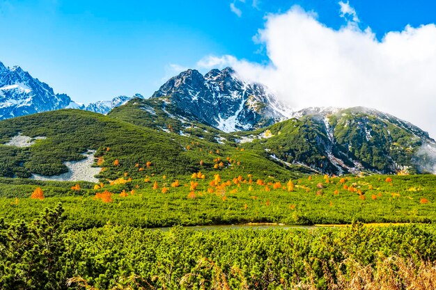 Alti Tatra innevati con colorati alberi autunnali Escursioni dal lago Zelene al cottage plesnivec vicino a Belianske Tatry montagna Slovacchia