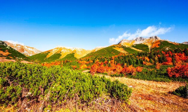 Alti Tatra innevati con colorati alberi autunnali Escursioni dal lago Zelene al cottage plesnivec vicino a Belianske Tatry montagna Slovacchia