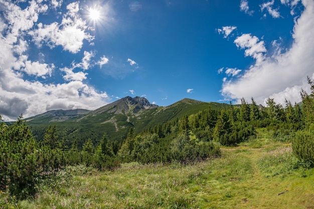 Alti tatra vista laterale con vacanza lomnicky stit