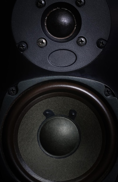 Altoparlanti, woofer e driver tweeter. Altoparlanti di alta qualità, sistema audio HiFi per studio di registrazione