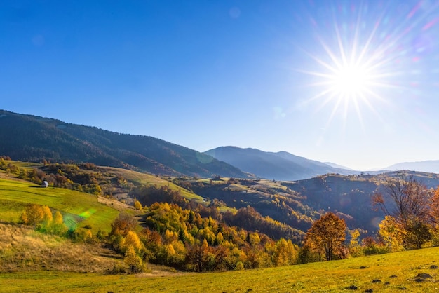 Altopiano con gigantesche montagne forestali e colline erbose circondate da fitta nebbia sotto il cielo blu in una luminosa mattina di sole in autunno