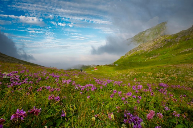 Altopiano di Ambarl e lago dei pesci