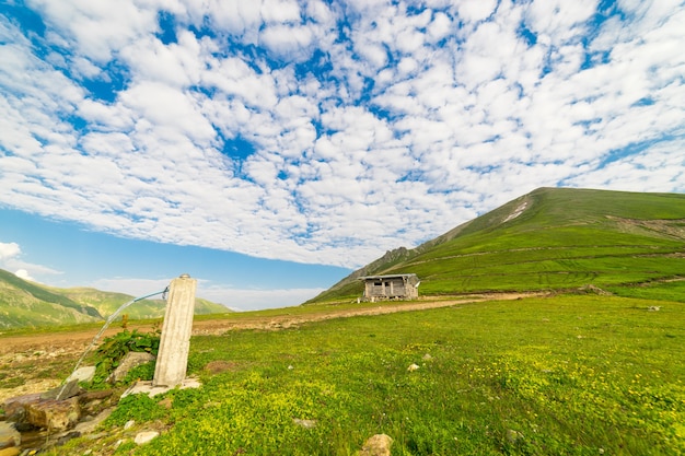 Altopiano di montagna estivo Highland con Artvin, Turchia