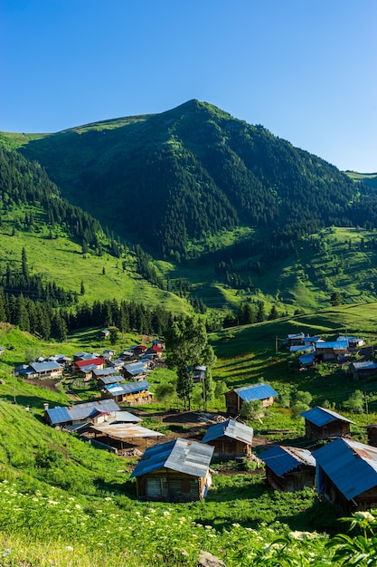 Altopiano di montagna estivo Highland con Artvin, Turchia