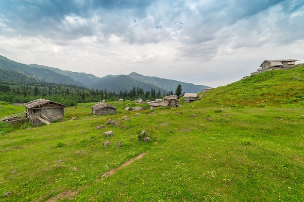 Altopiano di montagna estivo Highland con Gorgit, Artvin, Turchia