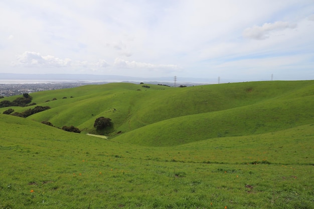 Altopiano di Vargas, California