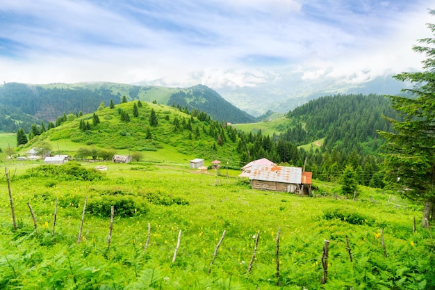 Altopiano nebbioso altopiano con Giresun - Turchia