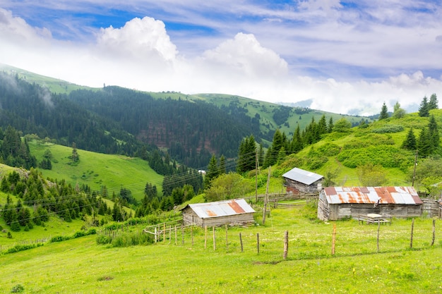 Altopiano nebbioso altopiano con Giresun - Turchia