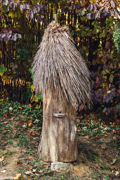 Alveari in legno da tronchi in autunno nel giardino del villaggio.