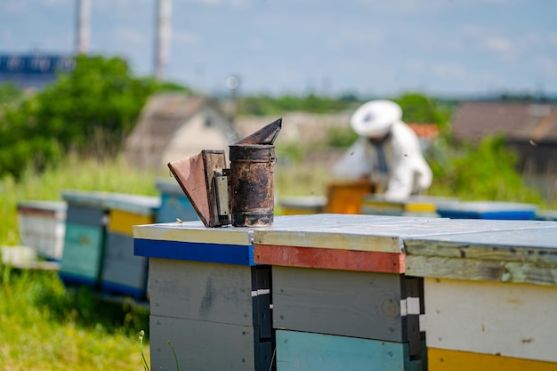 Alveari in un apiario con api che volano verso le tavole di atterraggio Apicoltura Fumatore di api sull'alveare Apicoltore su sfondo sfocato