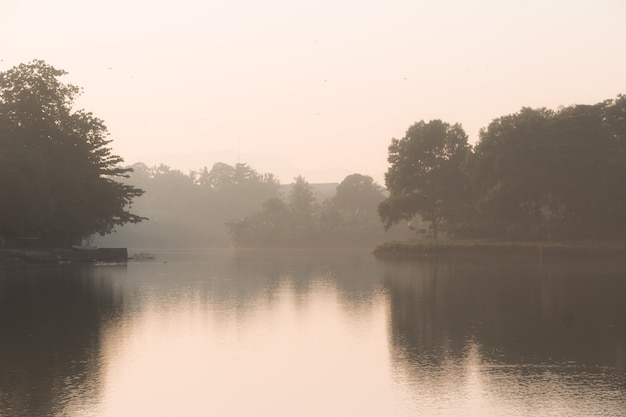 Alzarsi la mattina e prendere una bella scena del lago circondato da alberi e poca nebbia.