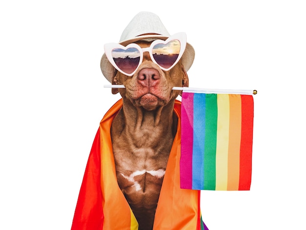 Amabile bel cane e bandiera arcobaleno Closeup