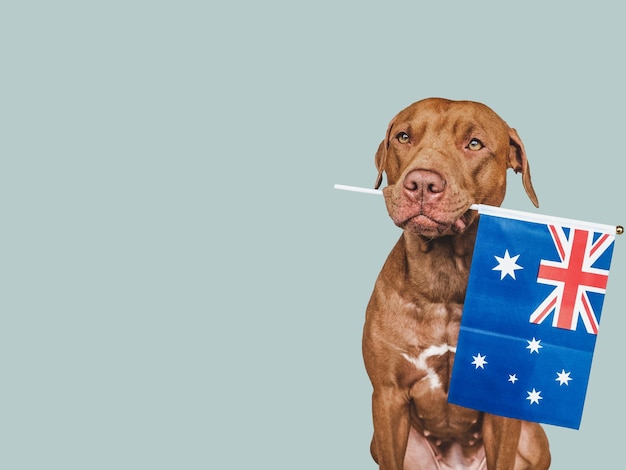 Amabile bel cane e bandiera australiana Closeup