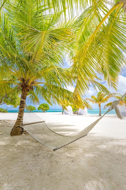 Amaca da spiaggia spensierata, vacanza di libertà. Tranquillo relax foglie di palma, riva soleggiata. Stile di vita per il tempo libero