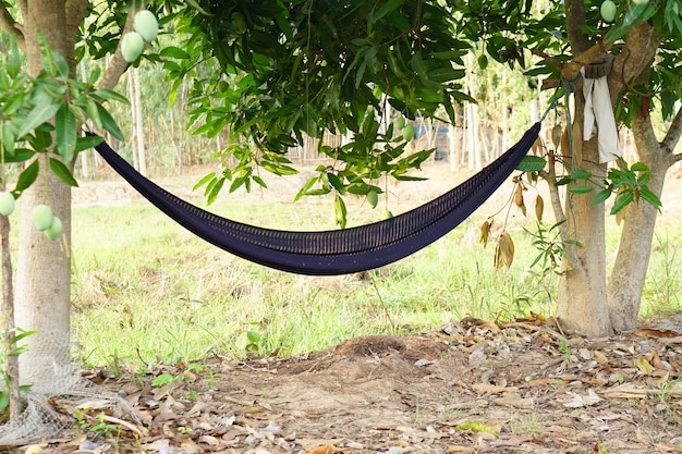 amaca per far dormire i clienti in una caffetteria