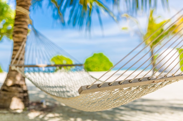 Amaca romantica e accogliente all'ombra della palma sul mare tropicale della spiaggia. Stile di vita libero per il tempo libero