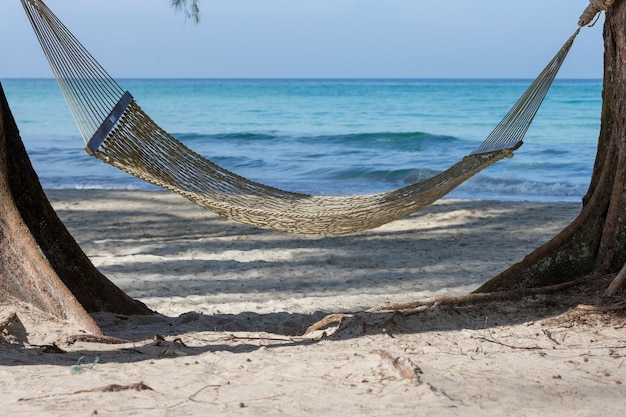 Amaca sulla spiaggia legata ad un albero con vacanze rilassanti.