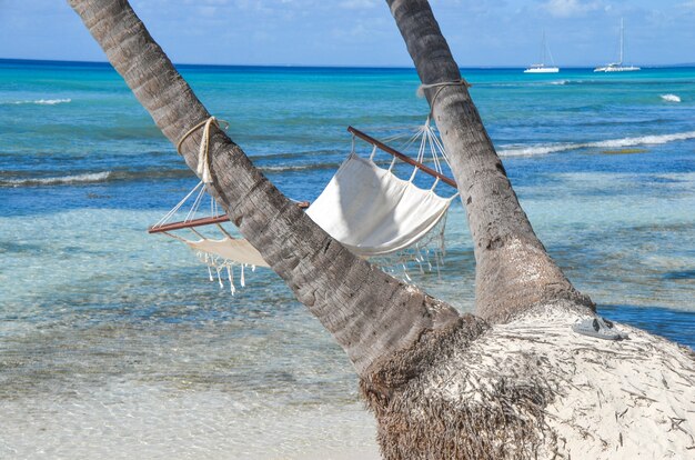 Amaca vuota tra le palme sulla spiaggia sabbiosa.