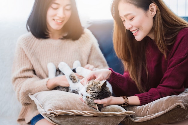 Amante lesbico delle coppie delle giovani belle donne asiatiche che gioca l'animale domestico sveglio del gatto in salone a casa con il fronte sorridente. Concetto di sessualità LGBT con stile di vita felice insieme.