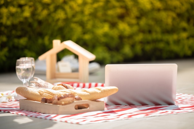 Amante romantico felice delle coppie che parla e che beve vino mentre avendo un picnic a casa