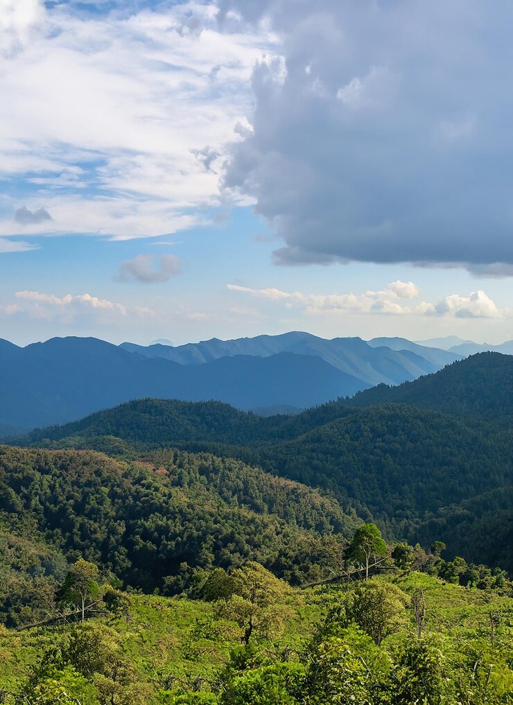 Amazing wild nature view of layer of mountain forest landscape with cloudy sky