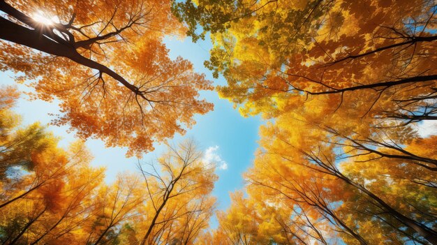 Ambiente paesaggistico legno acero sereno