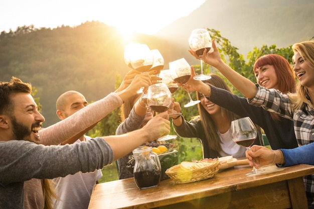 Amici che brindano a bicchieri di vino durante la festa