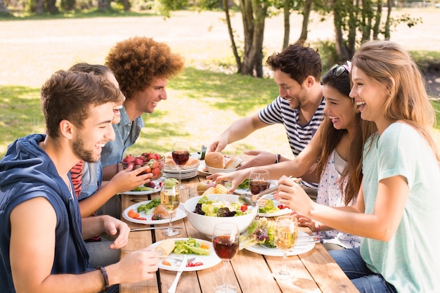 Amici felici nel parco pranzare