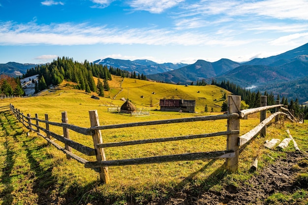 Ammaliante bellissimo paesaggio estivo di un prato verde su una collina che domina un fitto bosco di conifere. Montagne in una calda giornata estiva nuvolosa